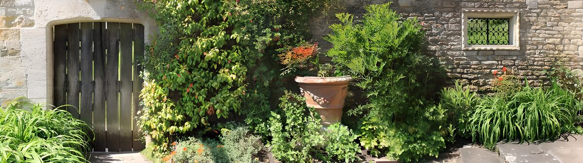 Leafy garden by a rustic stone wall