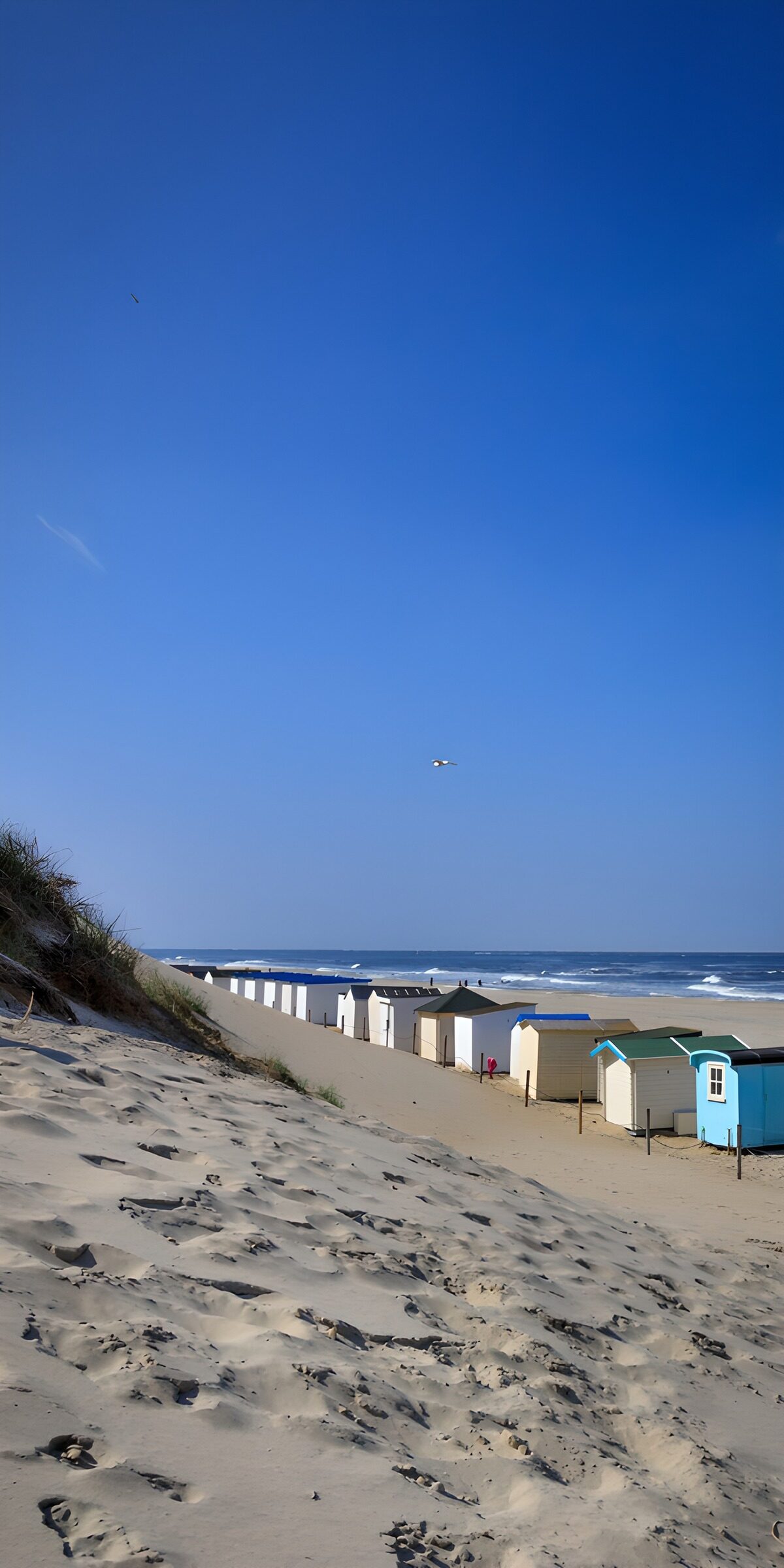 Beach huts beneath a wide blue sky