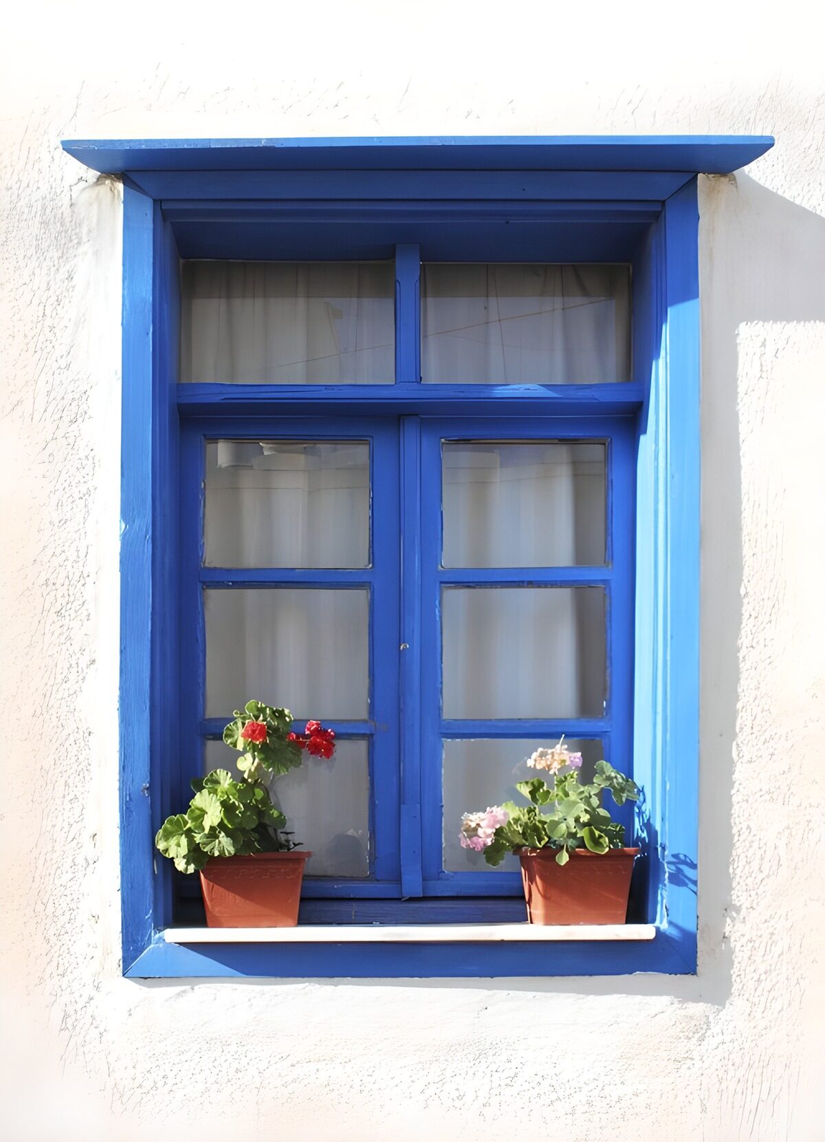 Sunlit blue window with flowerpots