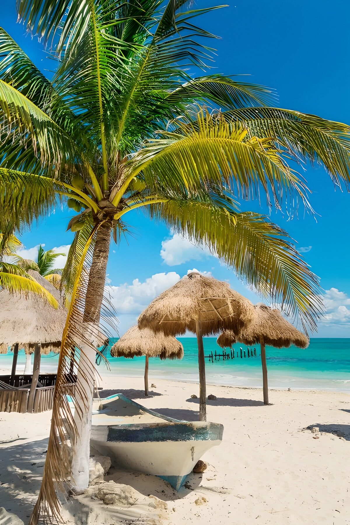 Palm tree and boat on a sunlit beach