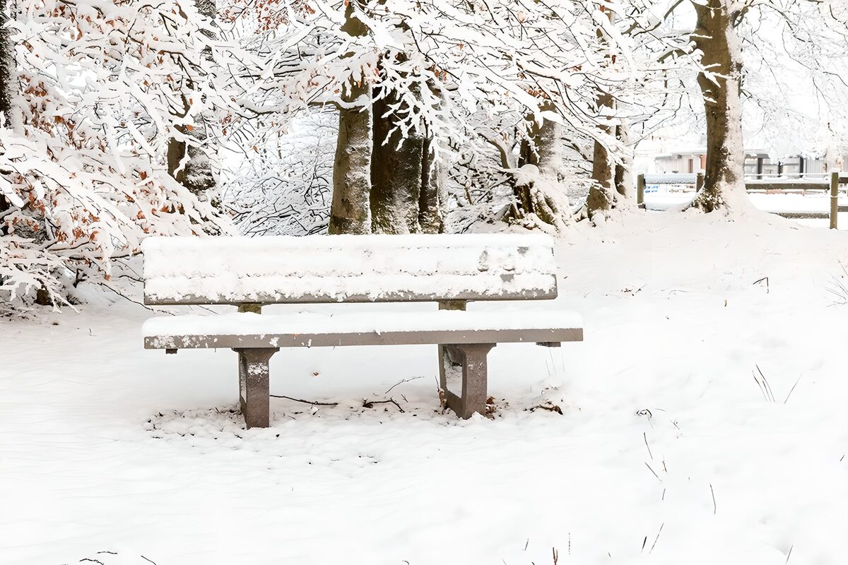 Snow-covered bench on a quiet winter day