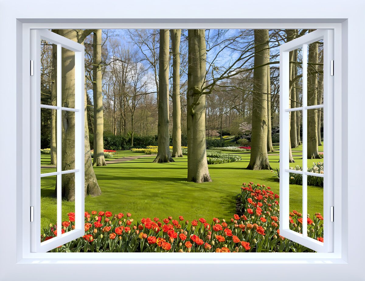 Open window onto a sunlit tulip garden