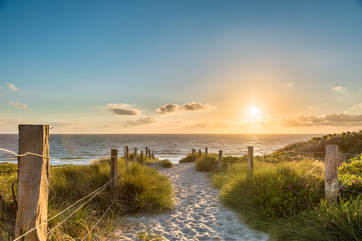 A dune path stitched with golden light