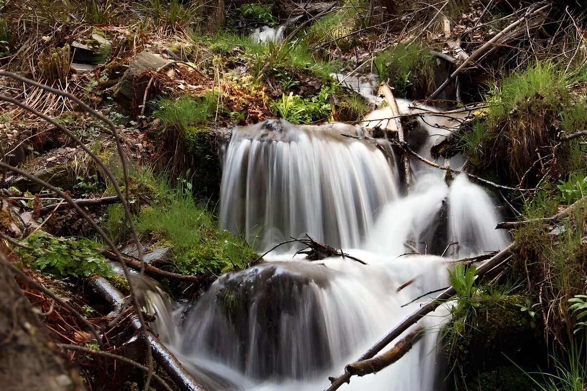 Woodland cascades over mossy rocks