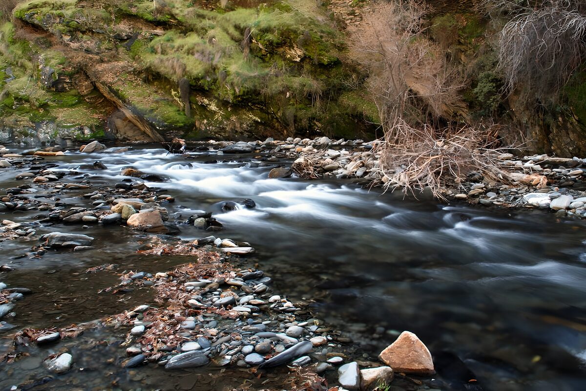 A quiet stream over scattered stones