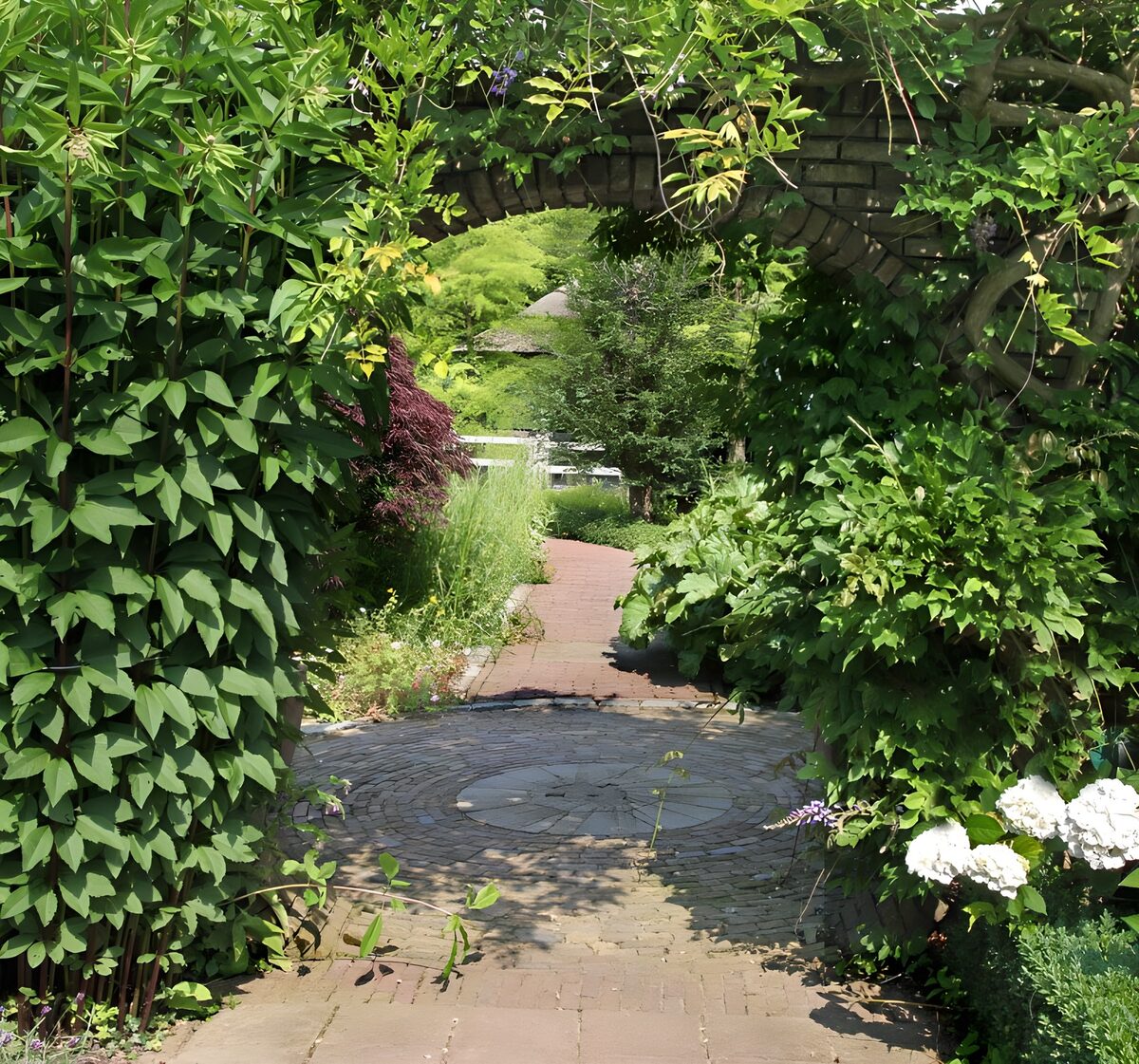 Leafy brick arch over a sunlit garden path