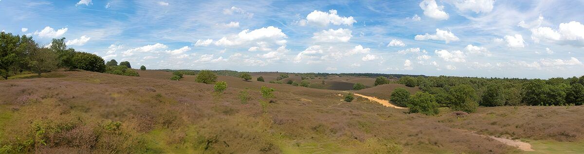 Open heath and sand beneath a summer sky