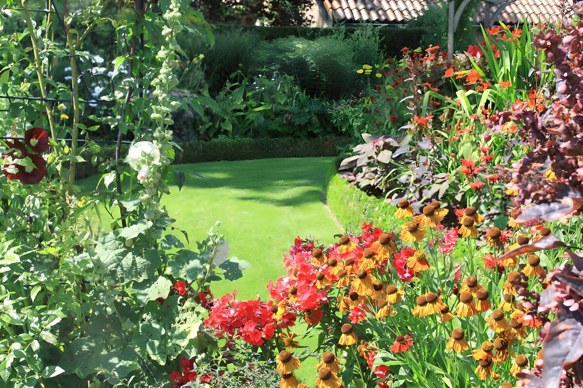 Sunlit lawn with red and yellow flowers