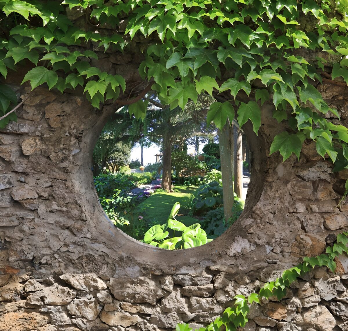 A circle of stone holds a world of green