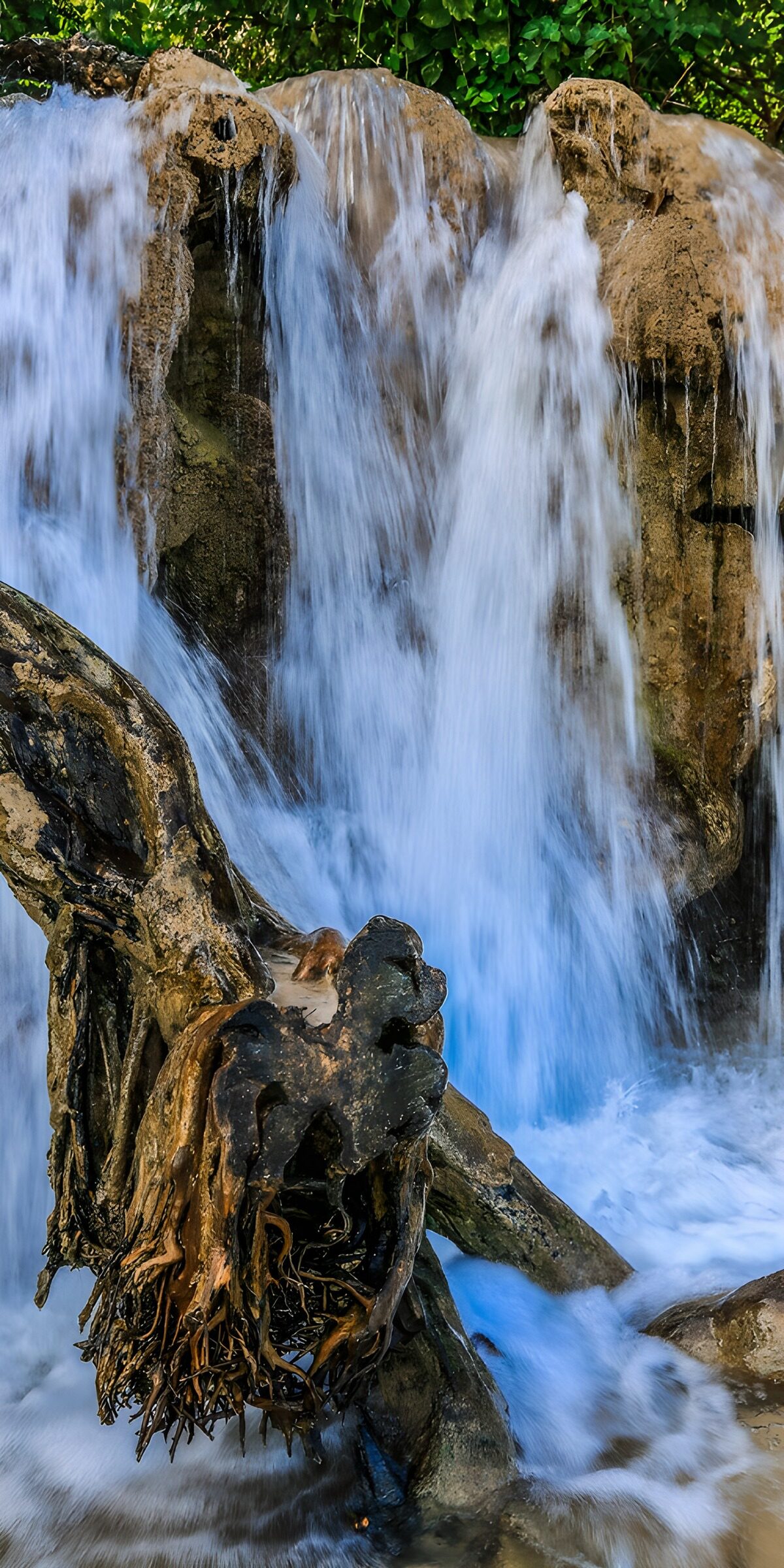 Waterfall over rocks and weathered roots