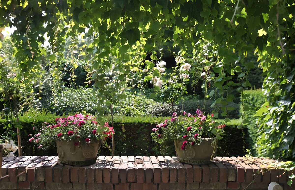 Flower pots on a sun-dappled brick wall