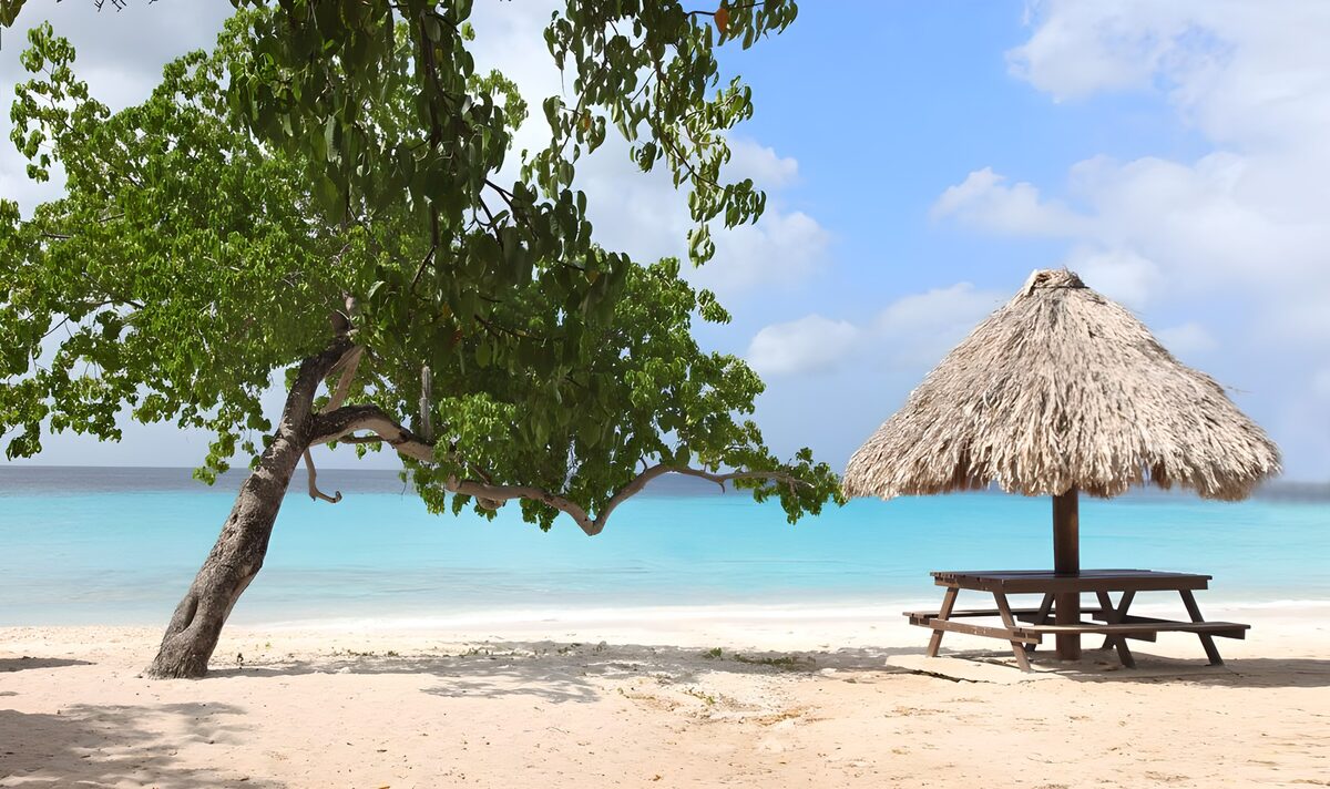 Beach picnic table in cool thatched shade
