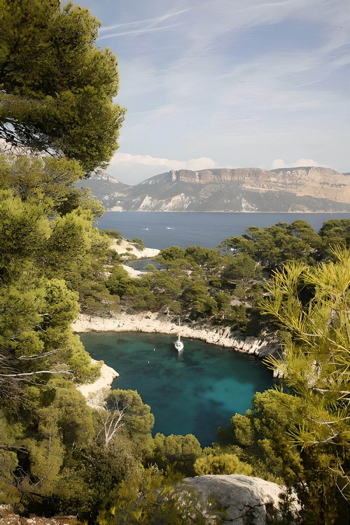 Sailboat in a sheltered, pine-framed cove