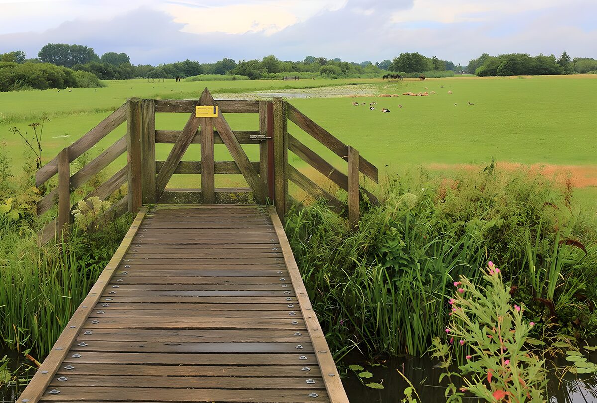 Wooden footbridge to a quiet meadow