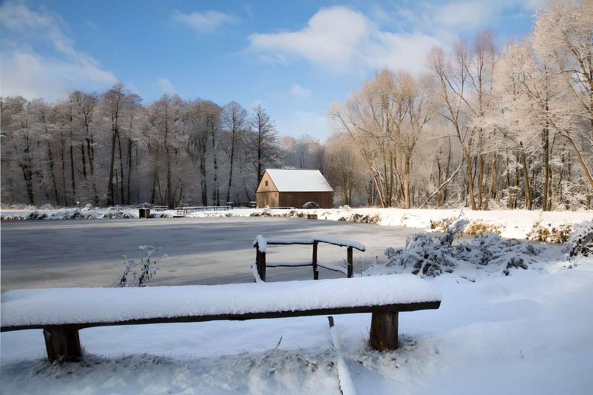 Frozen pond and hut in winter light