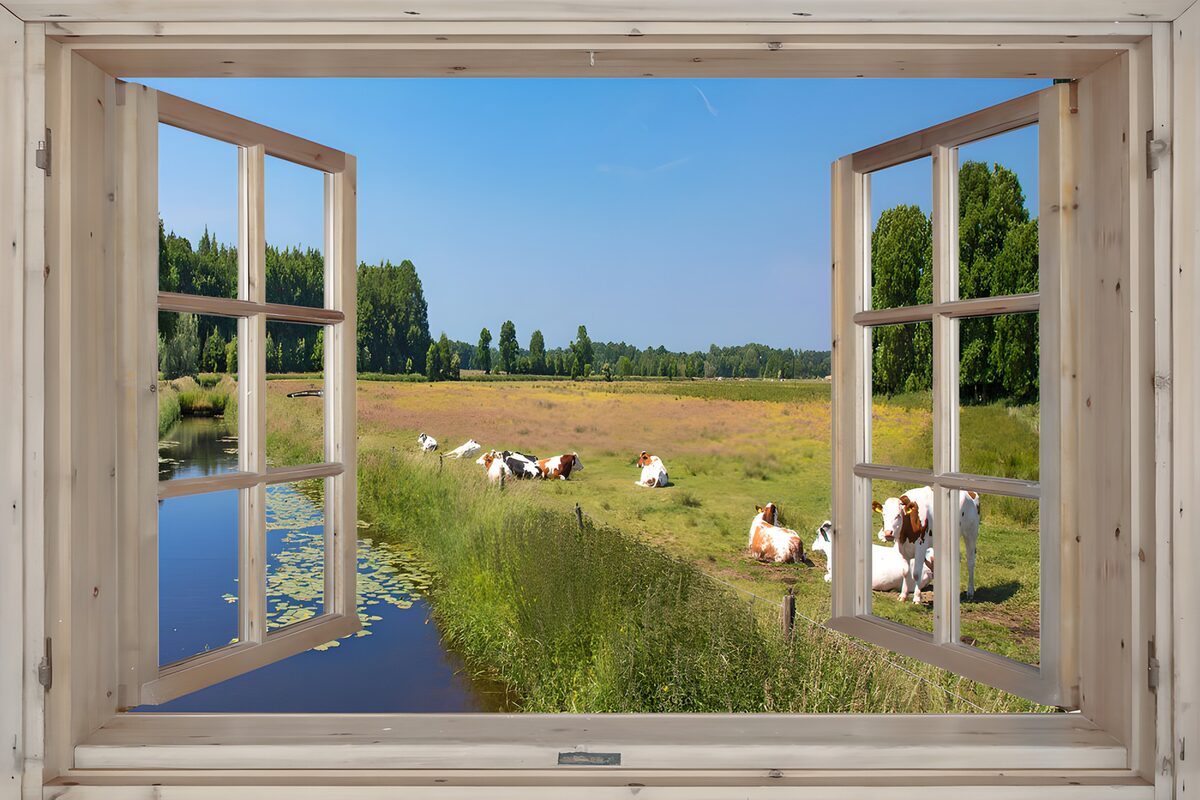 Open window onto a sunlit cow pasture