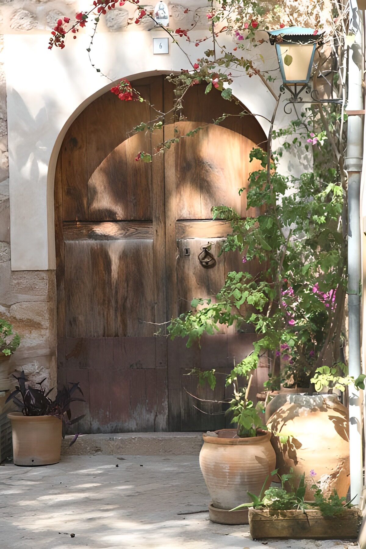 Arched wooden door in dappled sunlight