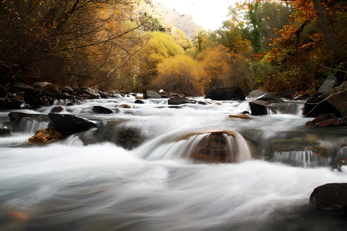 Autumn woodland stream in full flow