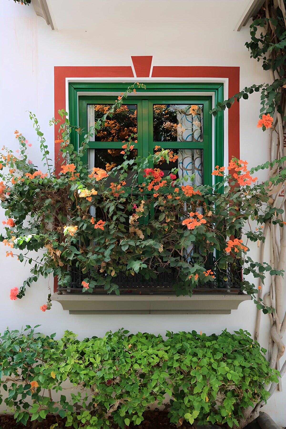 Green window framed by bright flowers