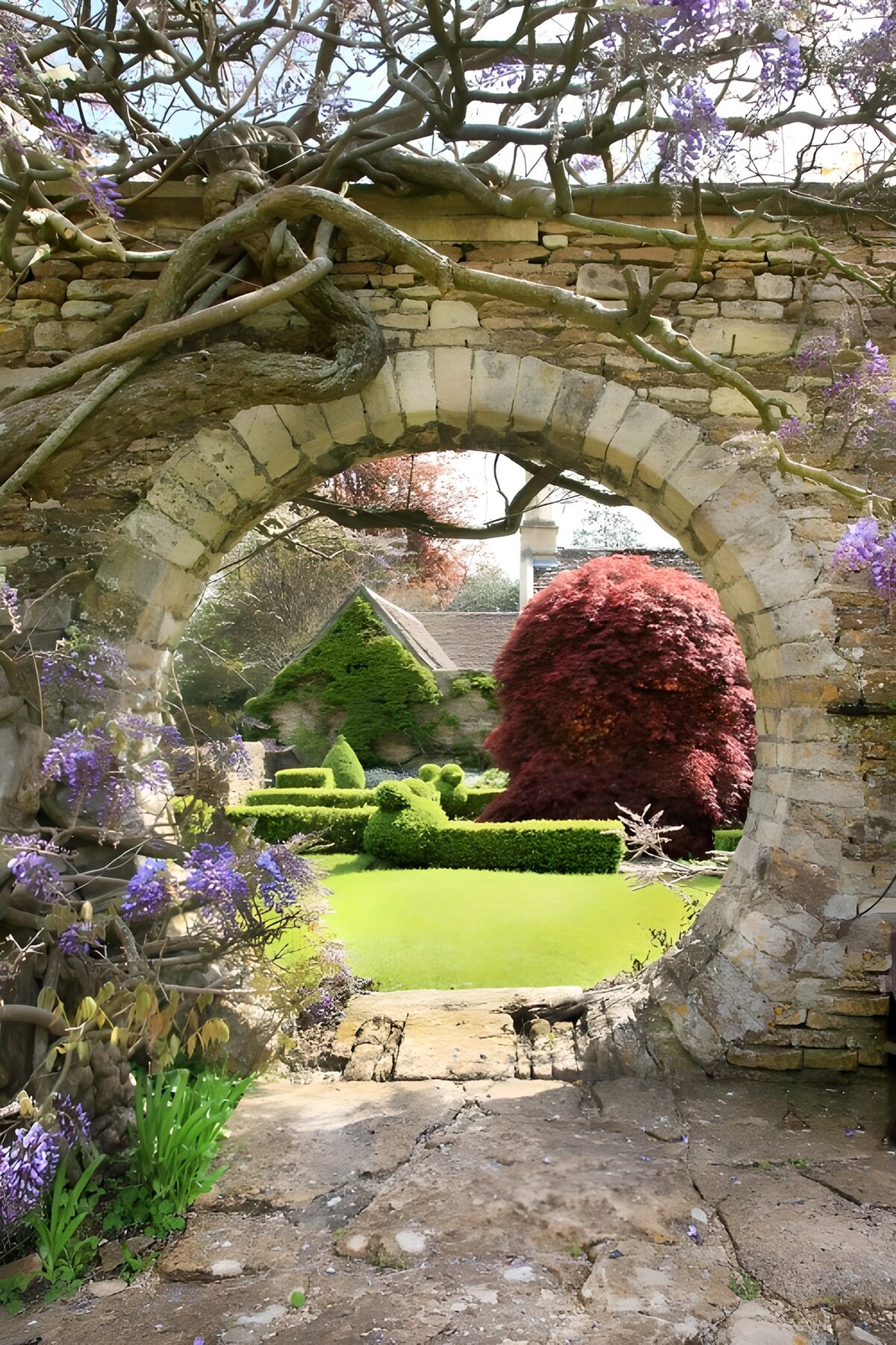 Wisteria over an old stone arch