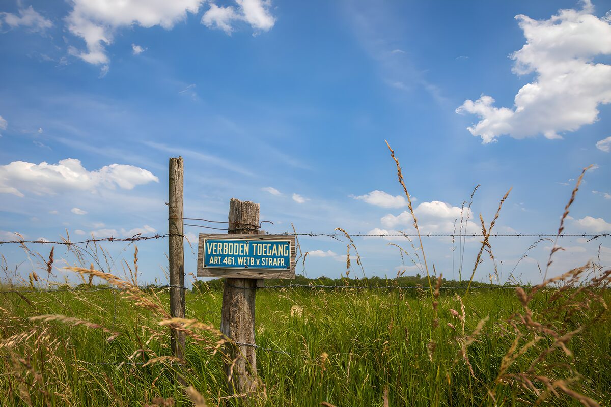 Meadow fence beneath a wide blue sky