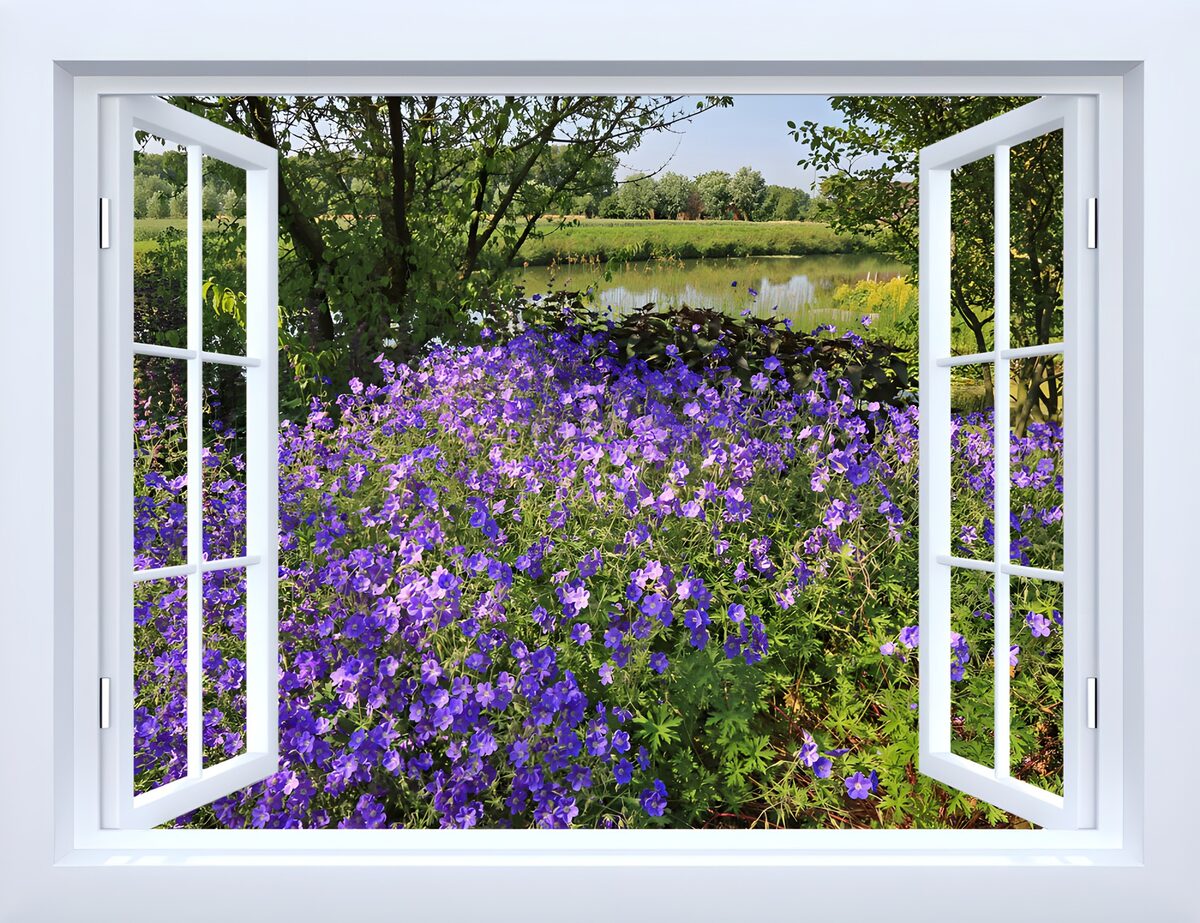 Open window onto a purple flower garden