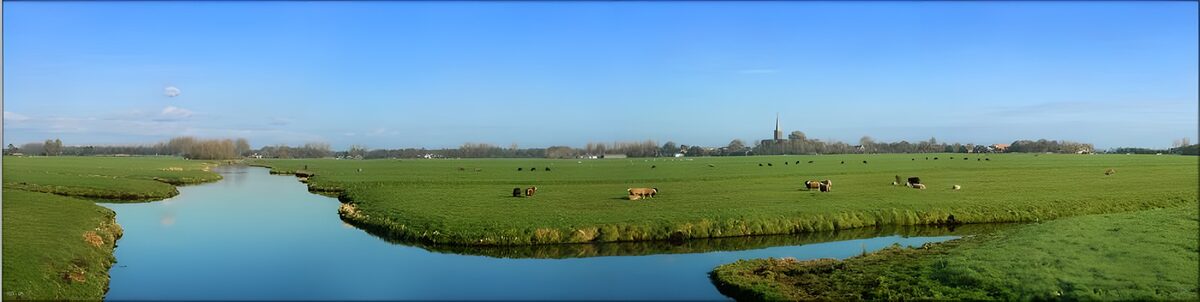 Cattle by a quiet bend in the water