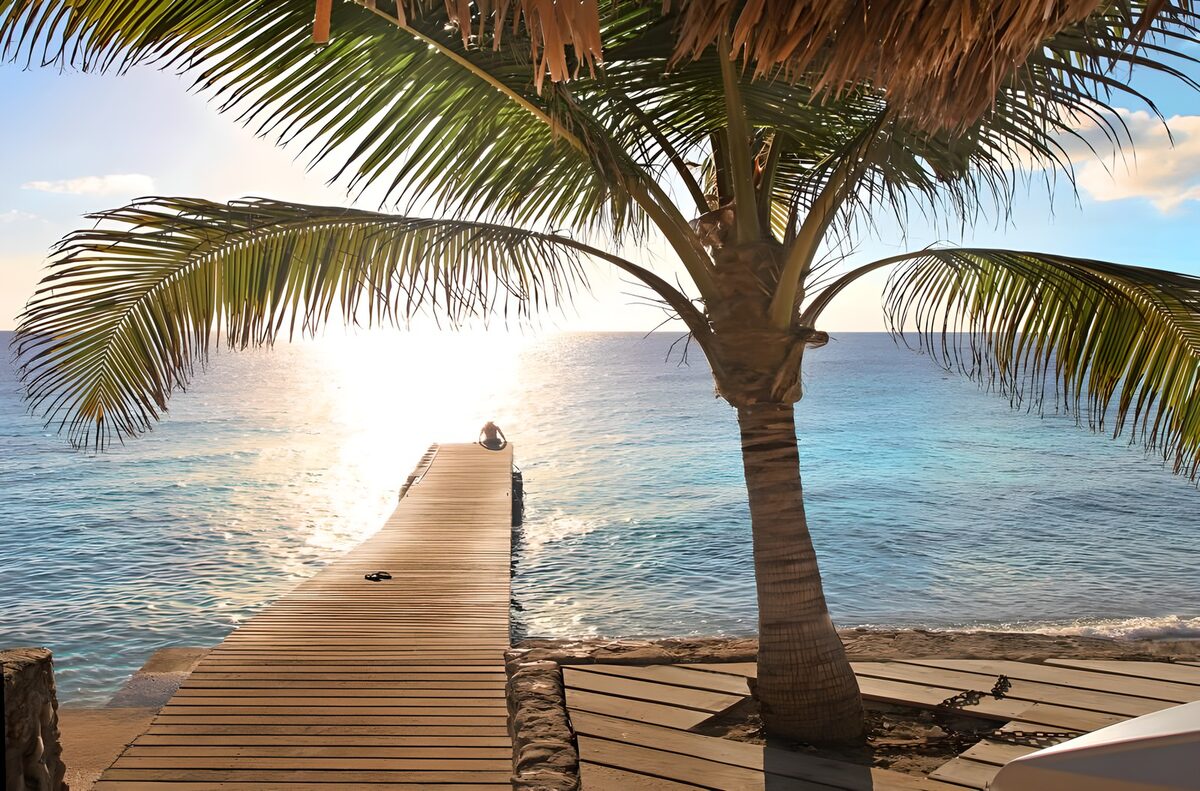 Palm tree and jetty in evening light