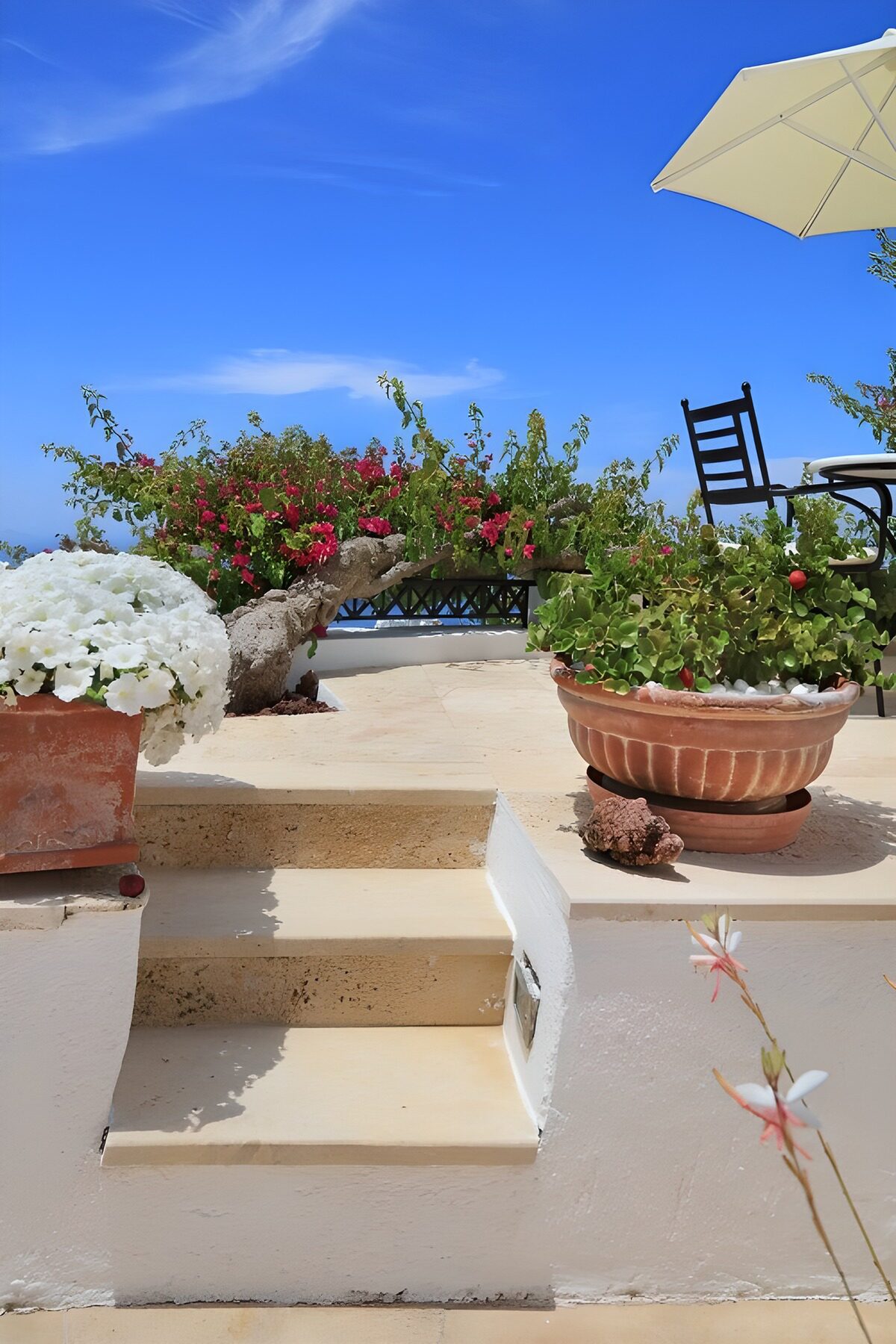 Sunlit terrace with flower-lined steps