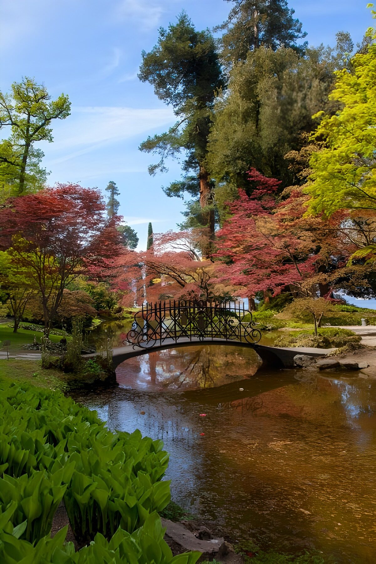 Arched bridge over a quiet garden pond