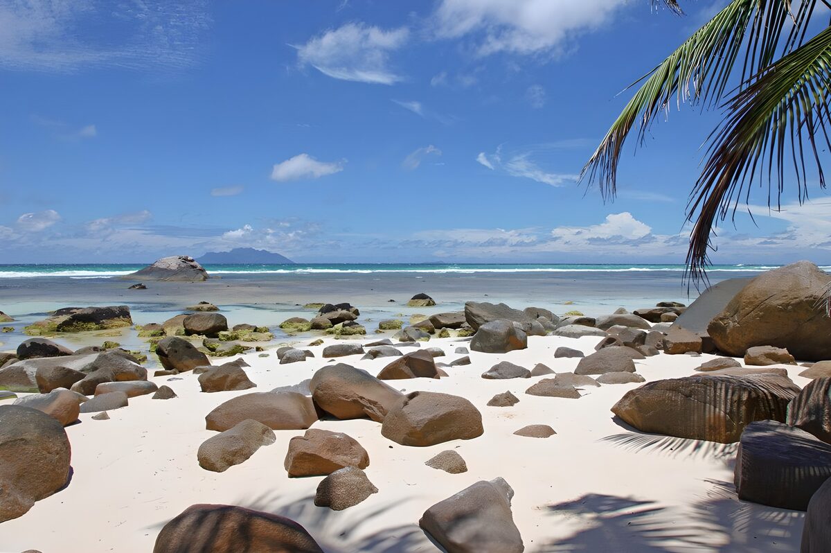 Palm-fringed beach with sunlit boulders