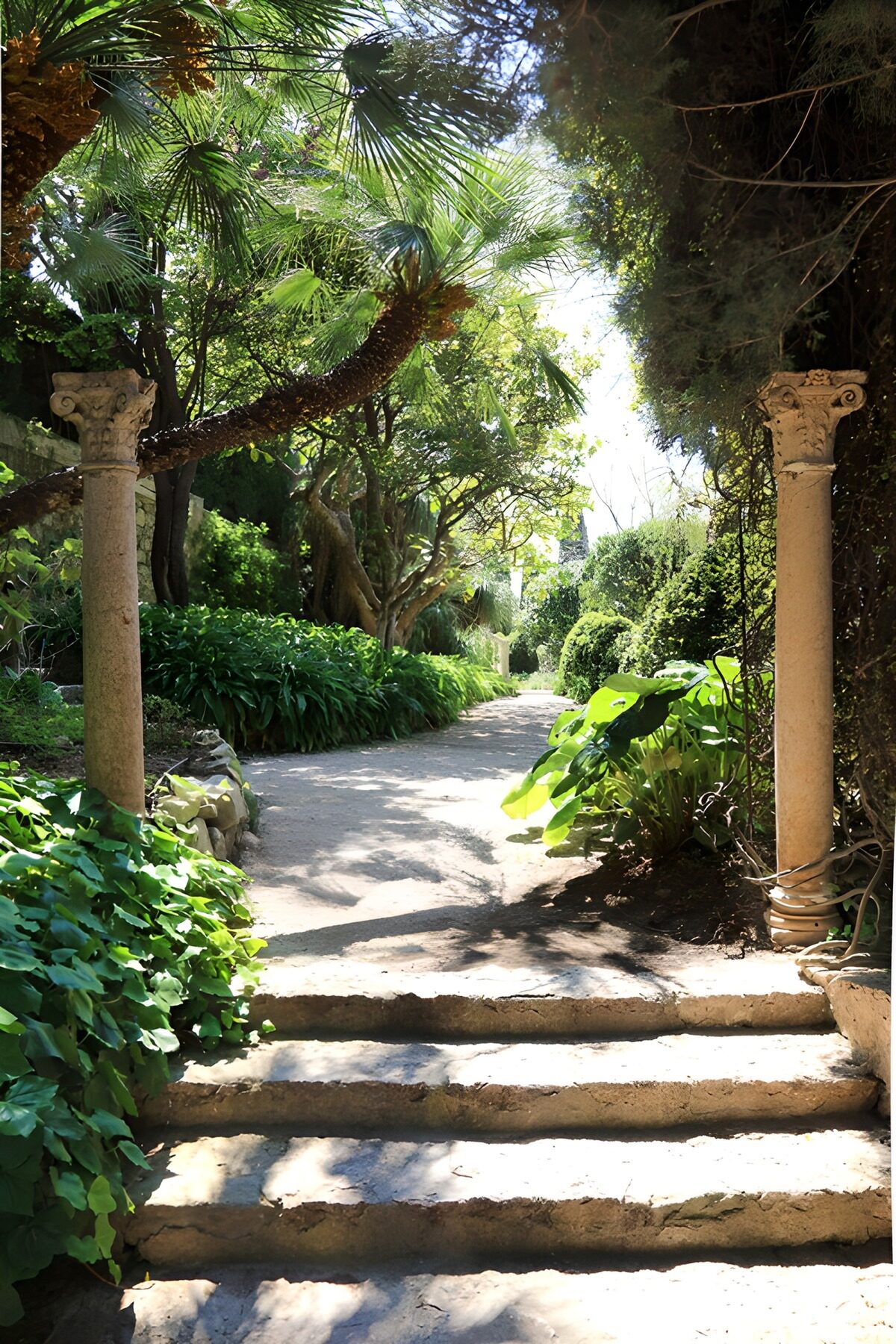 Sun-dappled steps between stone columns