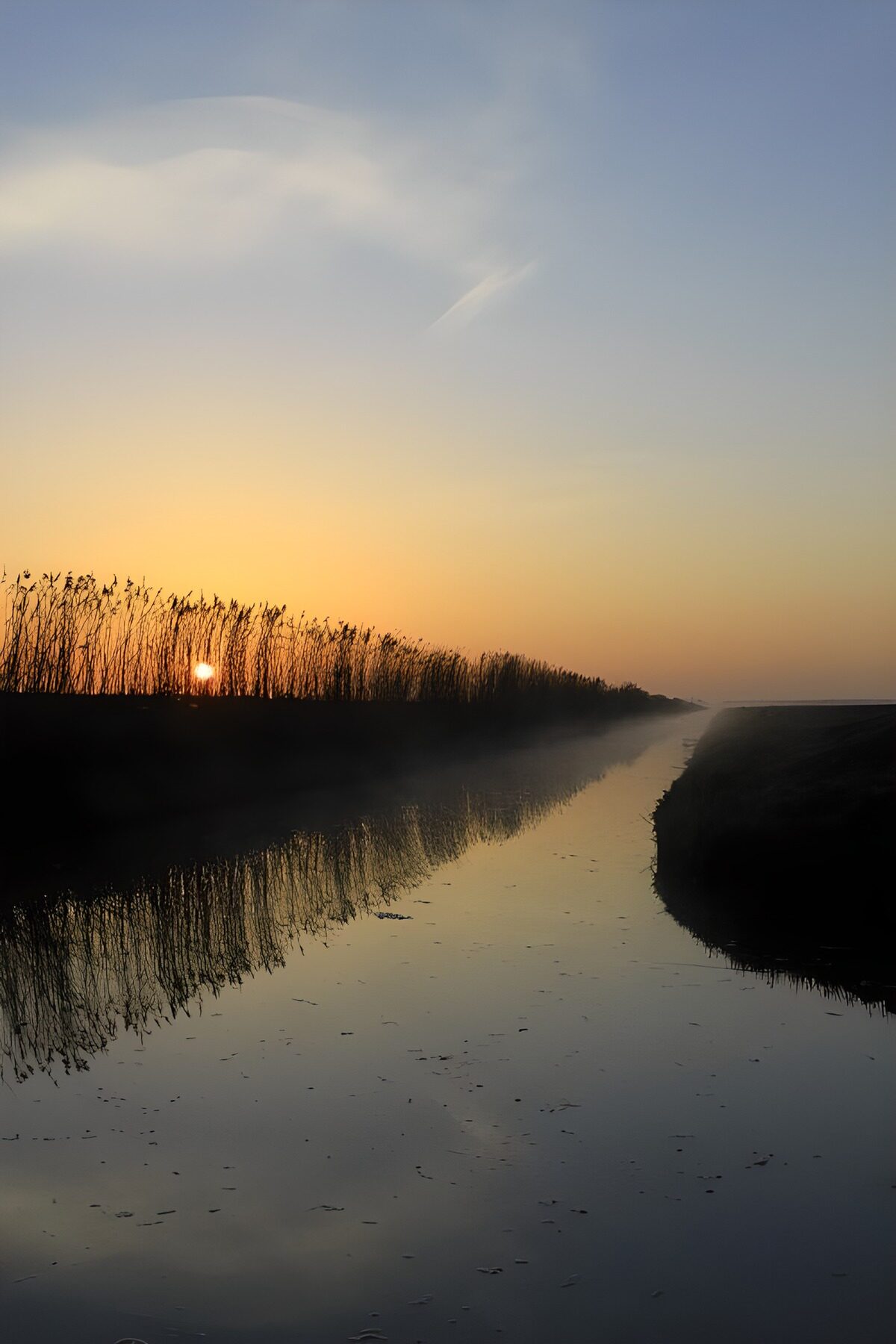 Reed-lined water in low sunlight