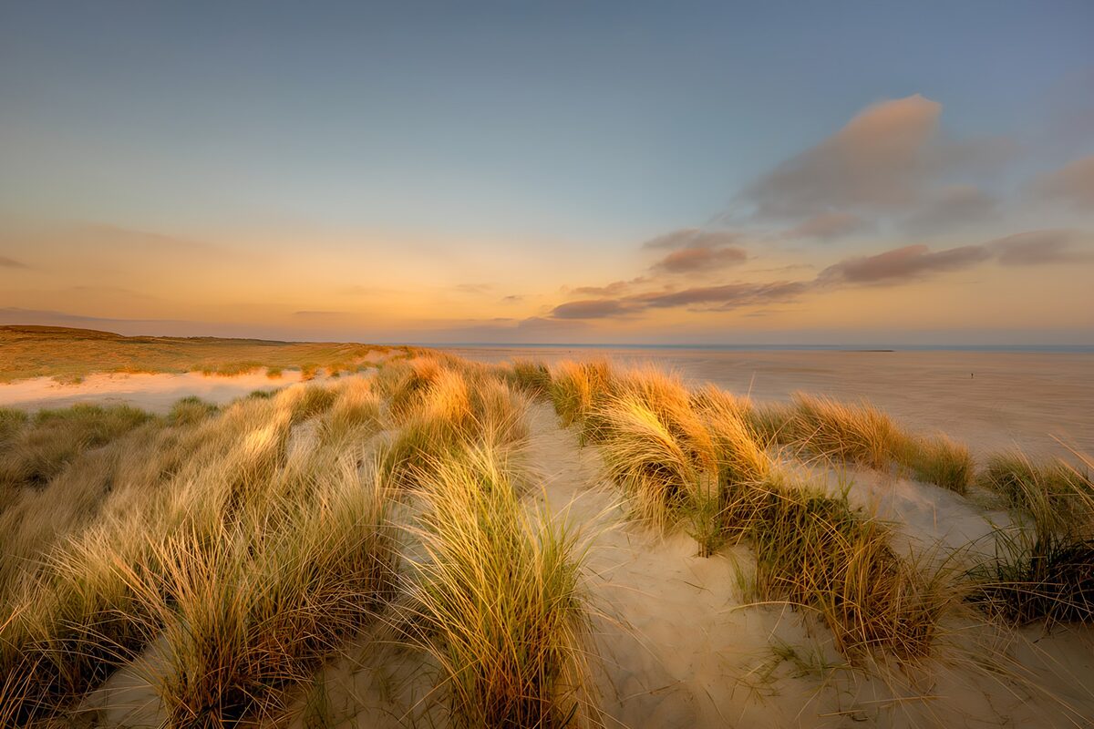 Grassy dunes beside the sea at sunset