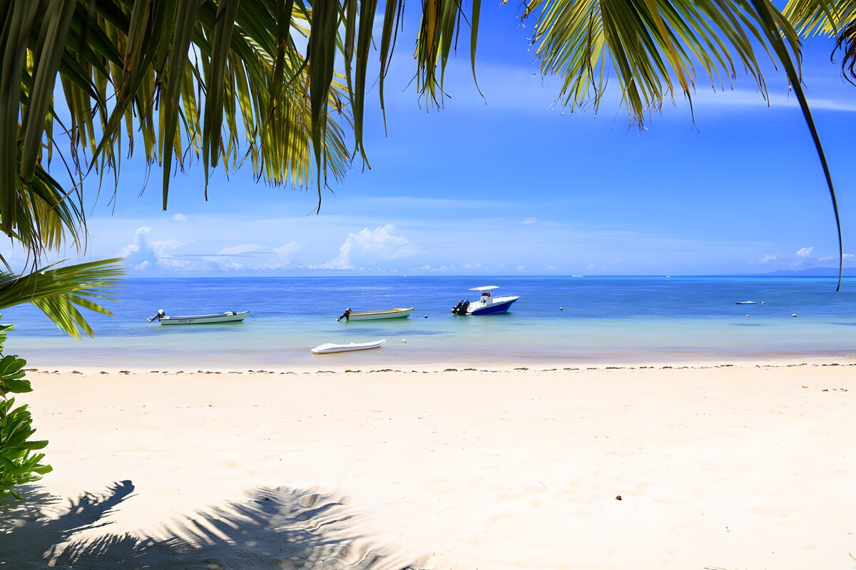 Palm-fringed beach with boats