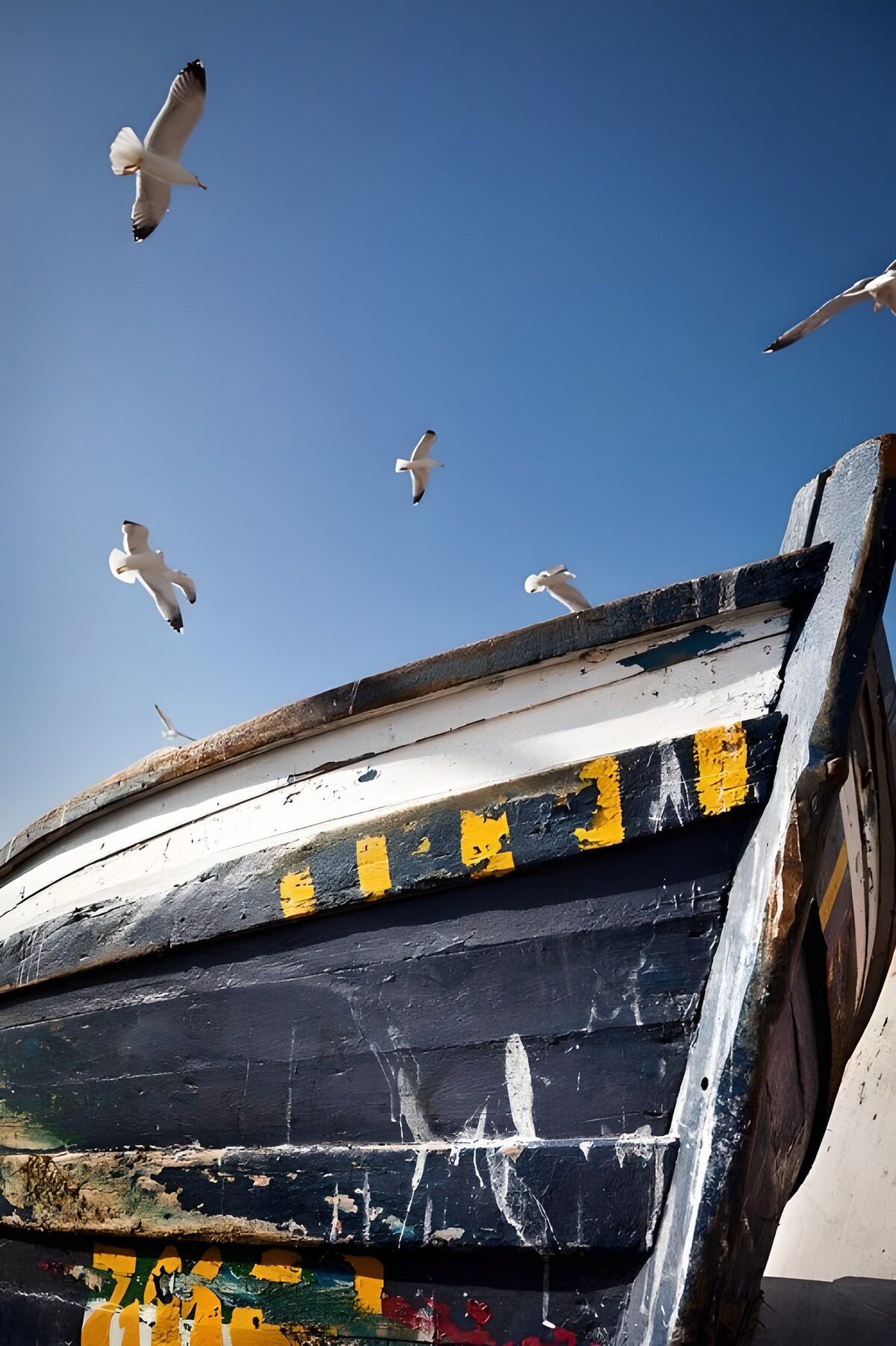 Gulls above a weathered wooden boat
