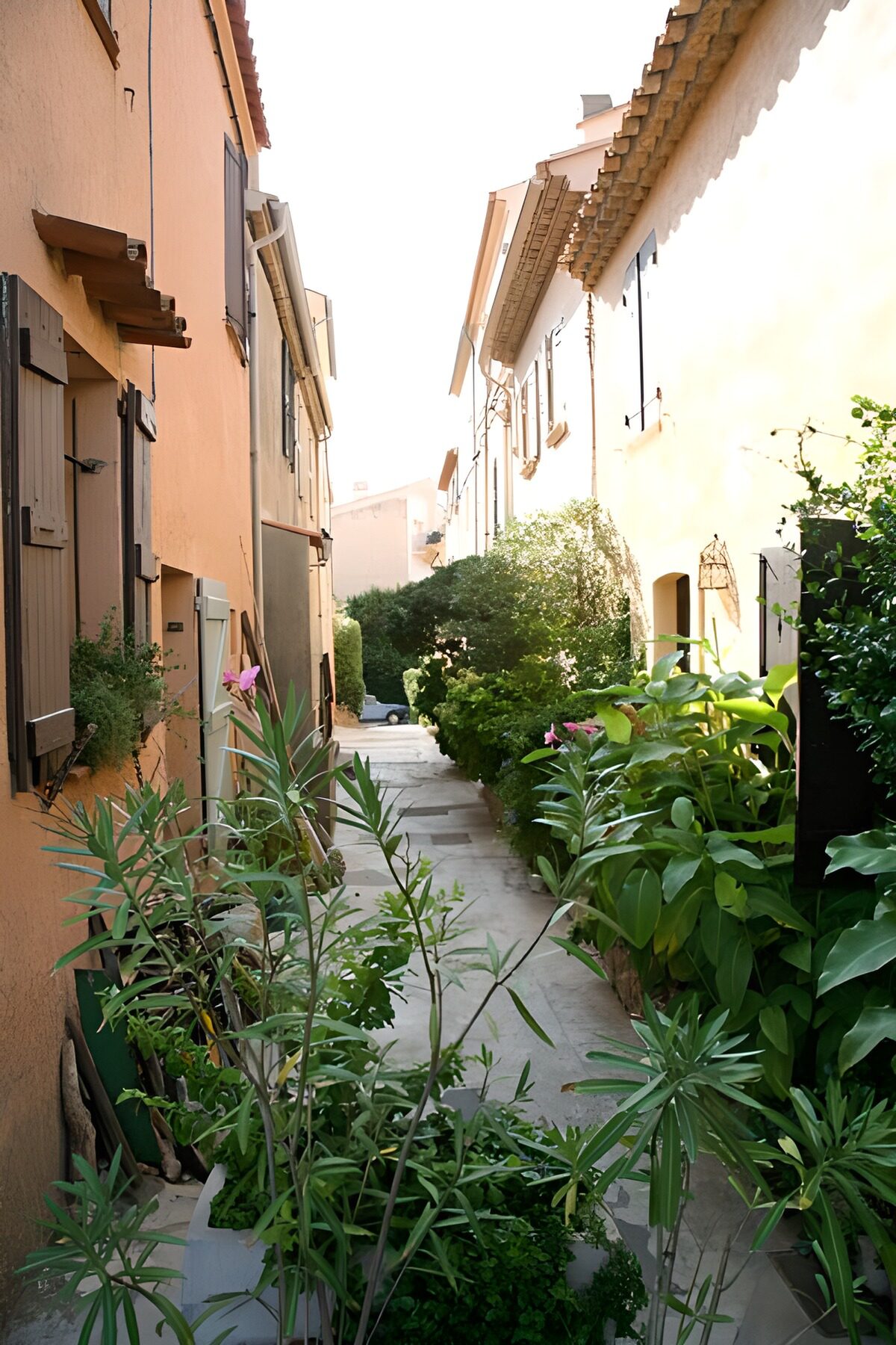 Leafy passage between peach-coloured houses