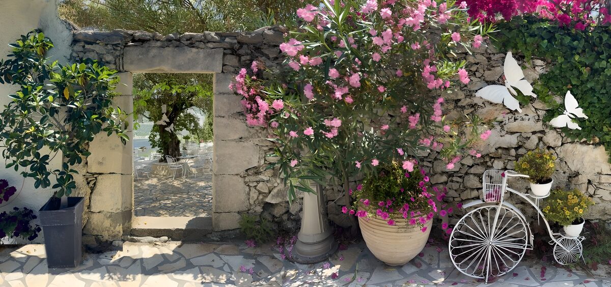 Sunlit courtyard with pink flowers