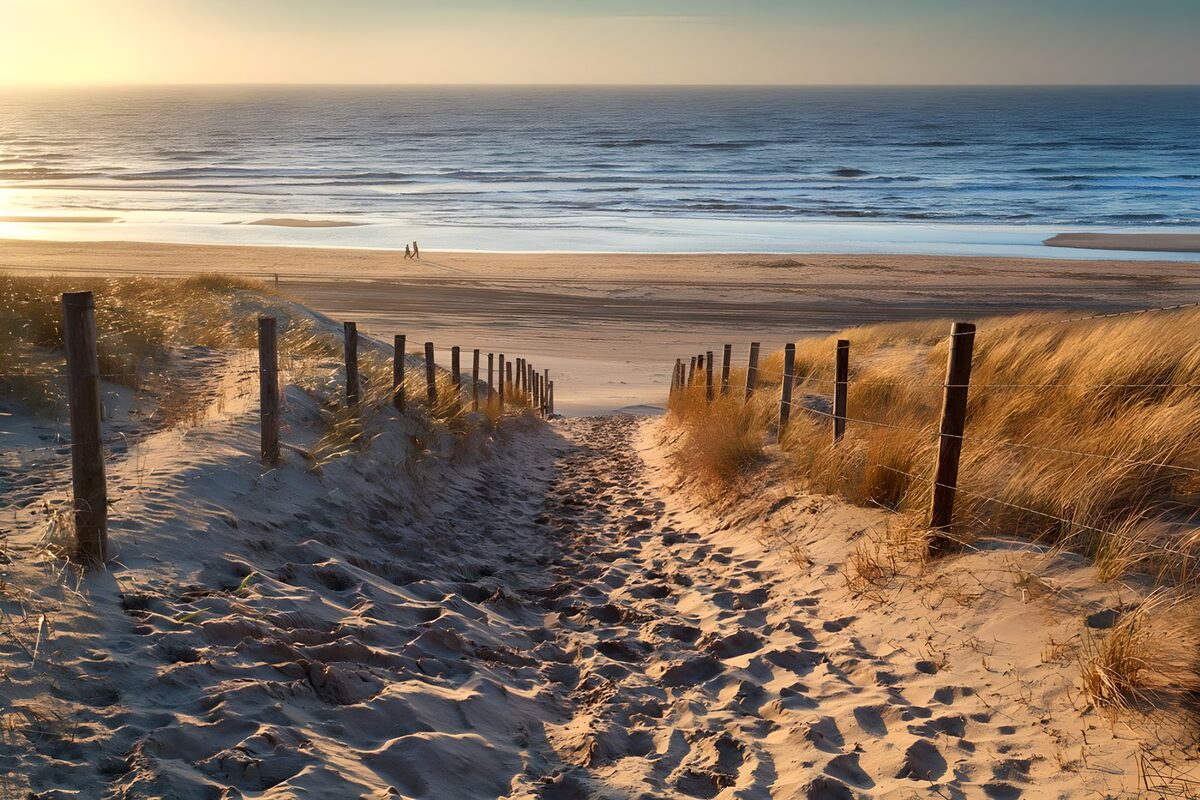 Sandy path to the sea in evening light