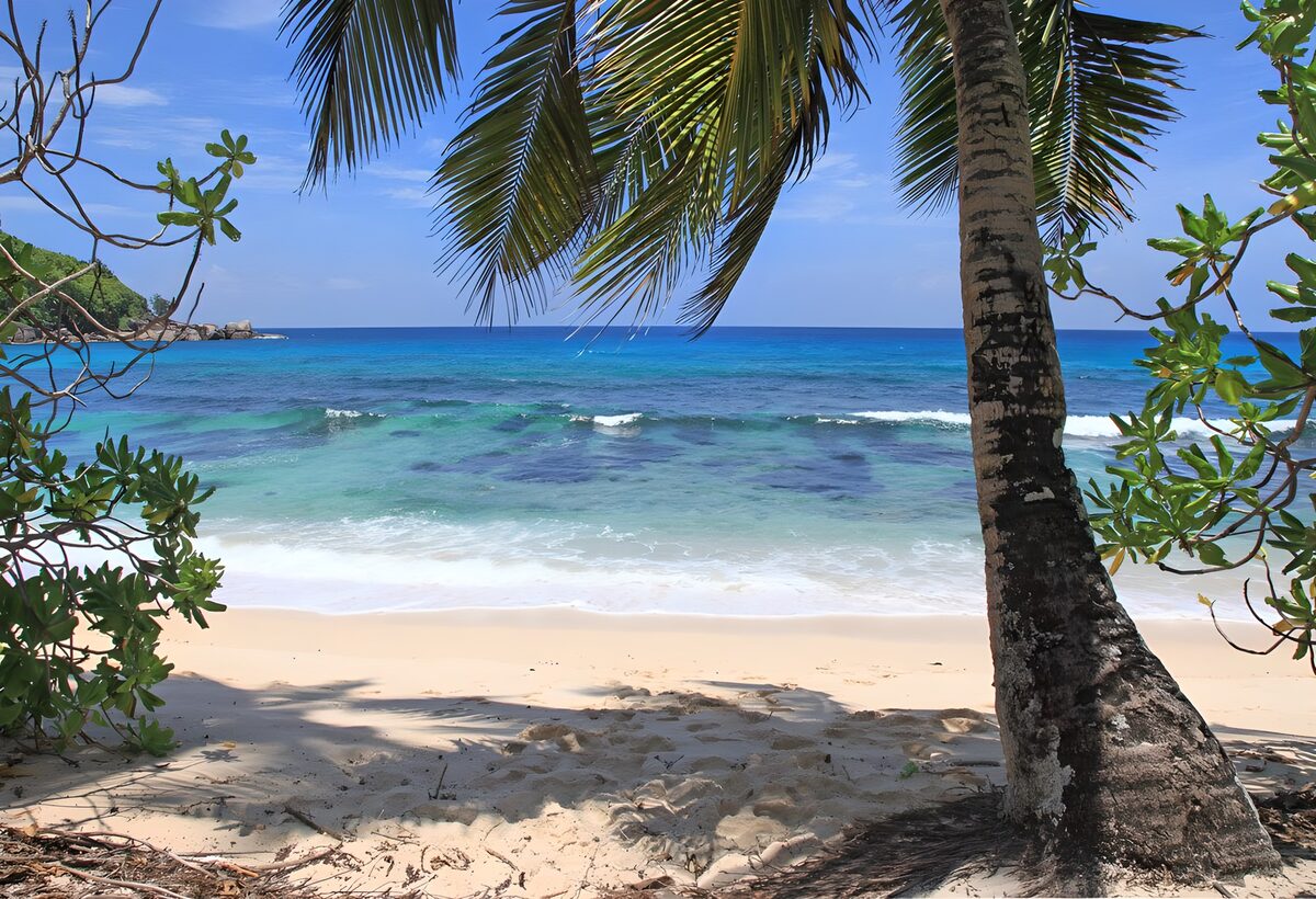 Where palm shade meets turquoise water