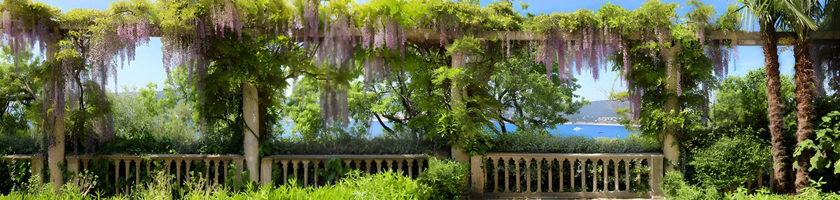 Wisteria pergola above a sunlit bay