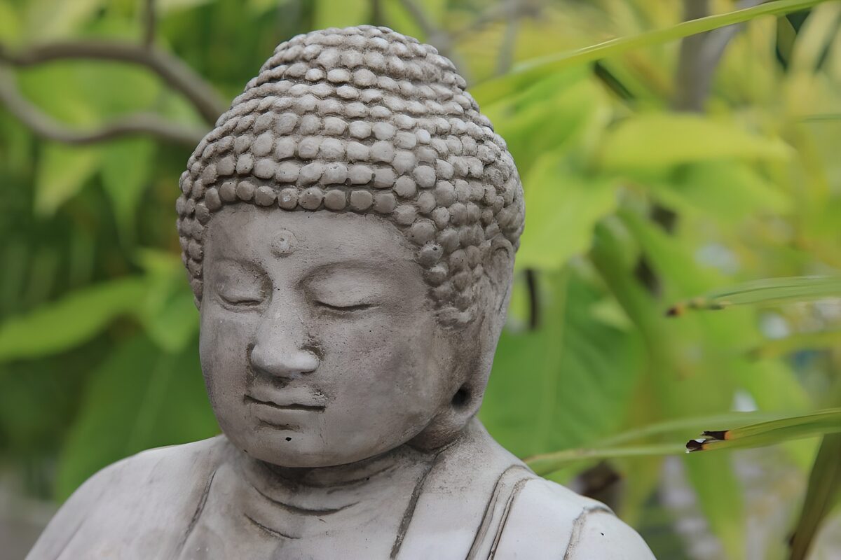 Buddha in a sea of green