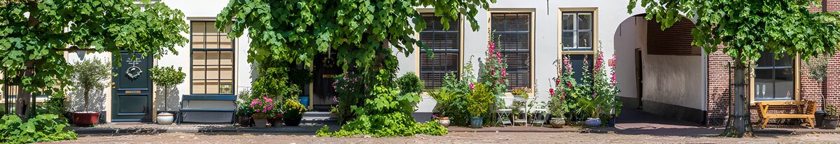 Leafy house fronts in summer shade