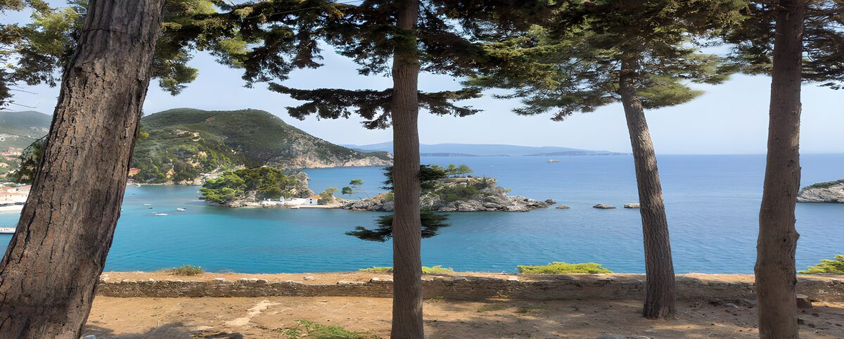 Turquoise bay beneath evergreen trees