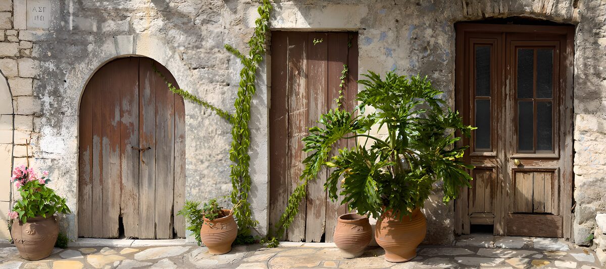 Three wooden doors in dappled sunlight