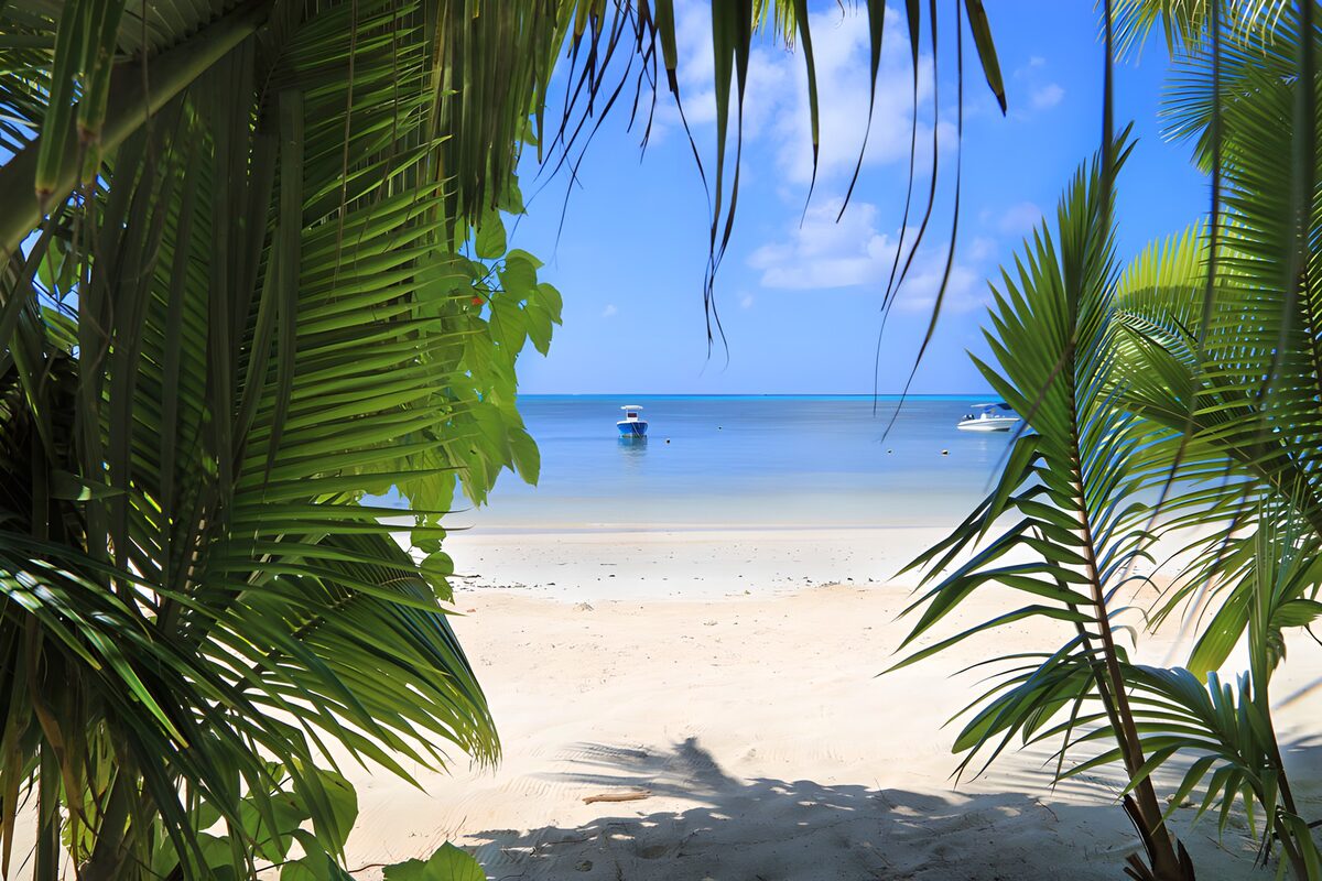 Palm-framed beach with boats at rest