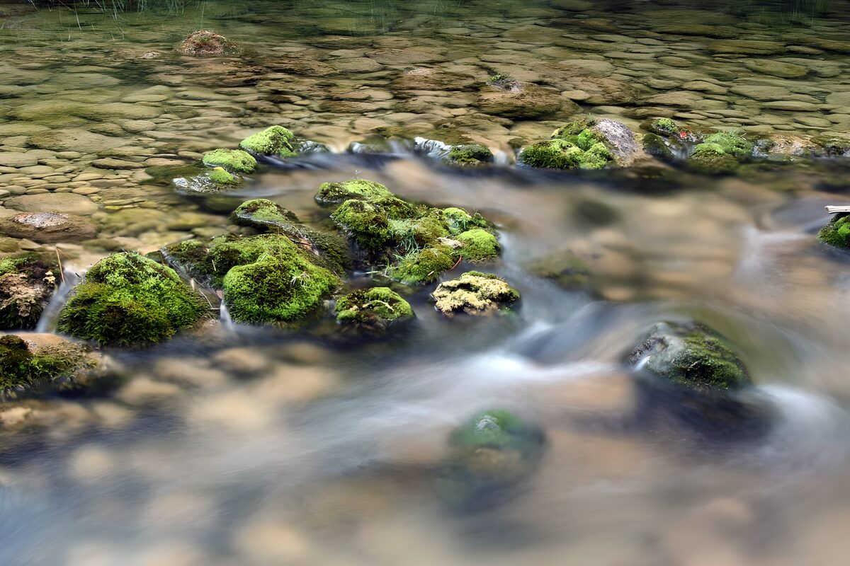 Mossy rocks in a softly flowing stream