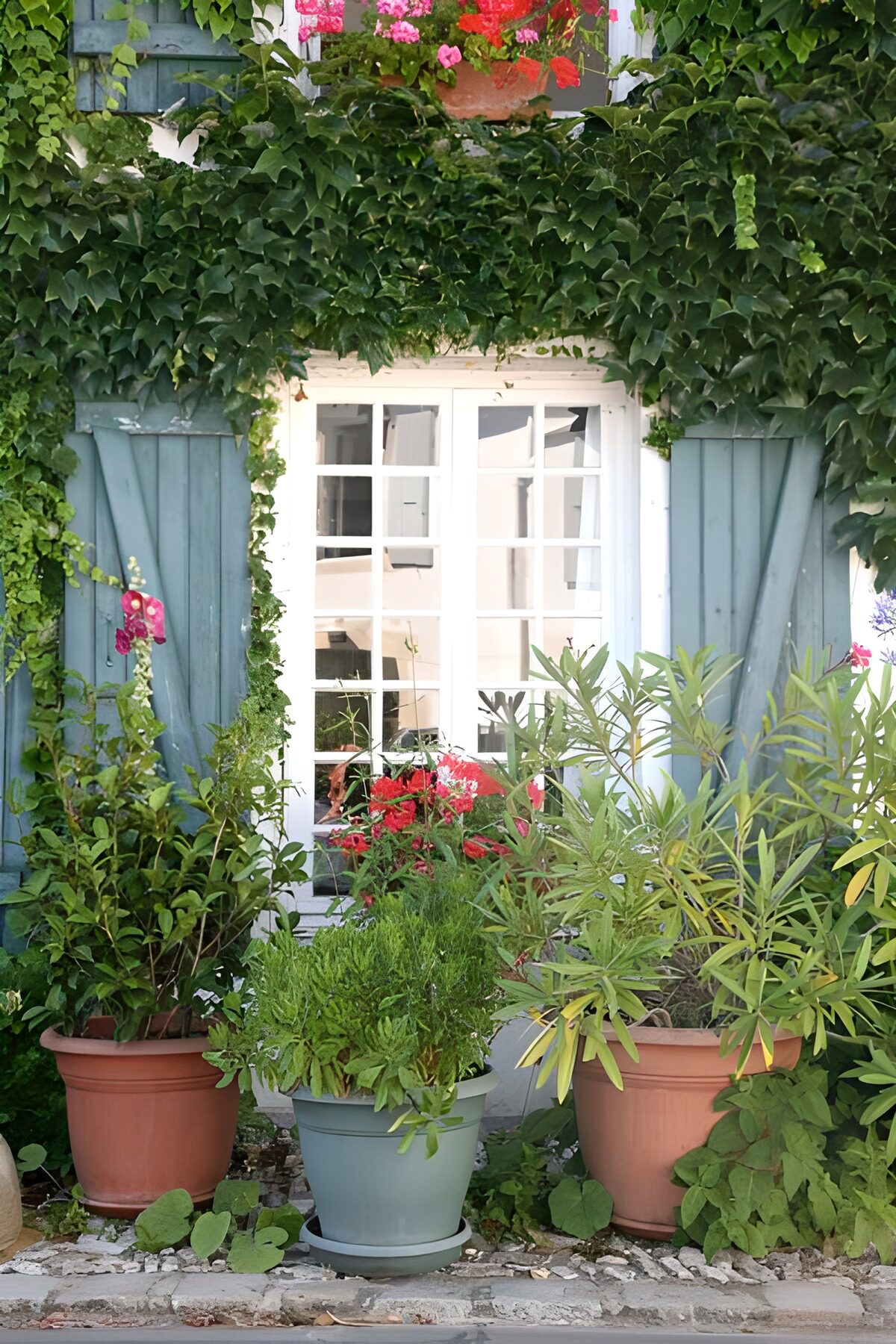 Blue-grey shutters and a lush potted garden