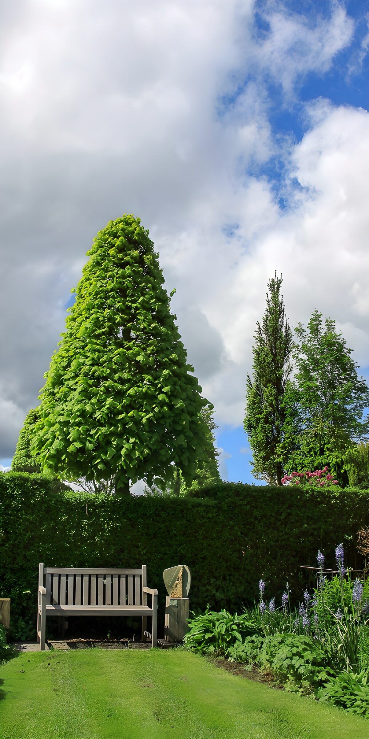 Garden bench beneath a cloud-filled sky