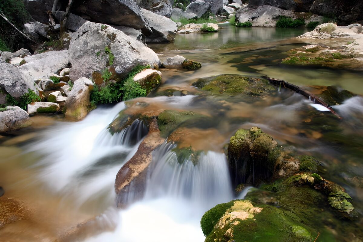 White ribbons over mossy stream rocks